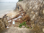 海浜清掃