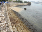 海浜清掃
